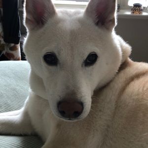 Meet your Posher, Marcelo